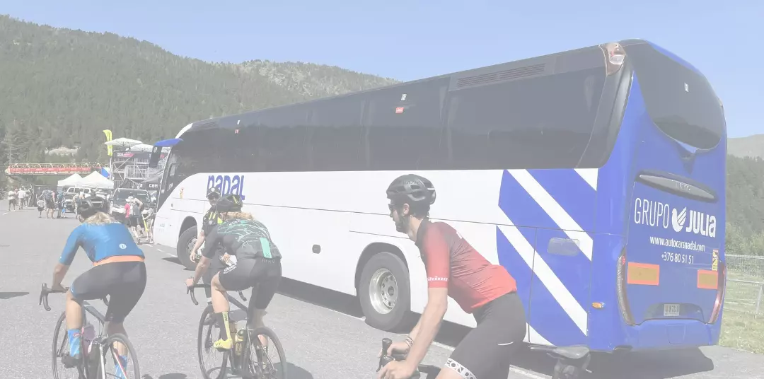 Popular bus services for: